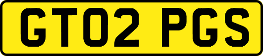 GT02PGS