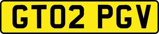 GT02PGV