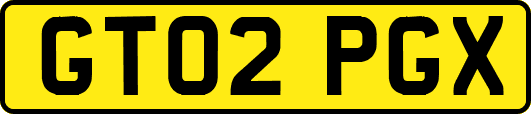 GT02PGX