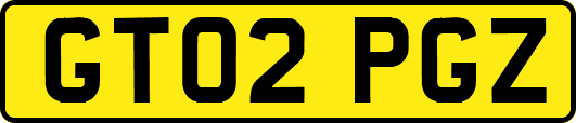 GT02PGZ