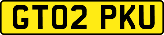 GT02PKU