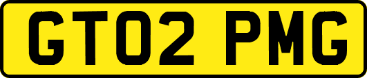 GT02PMG
