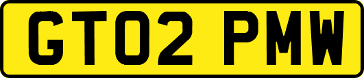 GT02PMW
