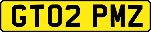 GT02PMZ