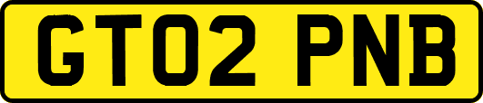 GT02PNB