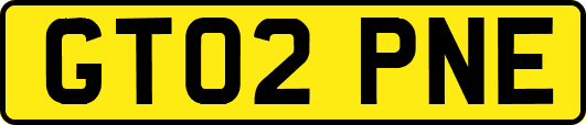 GT02PNE