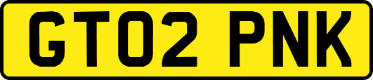 GT02PNK
