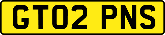 GT02PNS