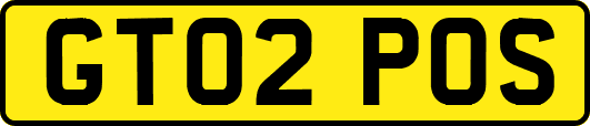 GT02POS