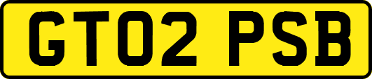 GT02PSB