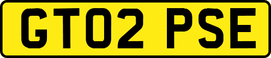 GT02PSE