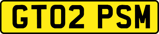 GT02PSM