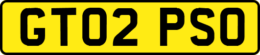 GT02PSO