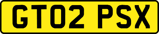 GT02PSX