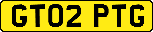 GT02PTG