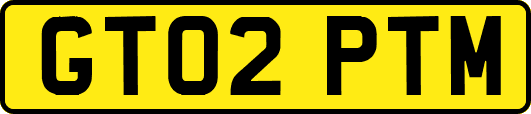 GT02PTM