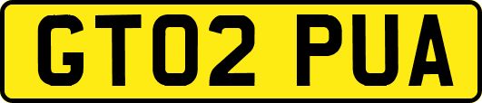 GT02PUA