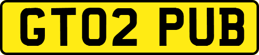 GT02PUB