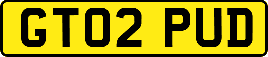 GT02PUD