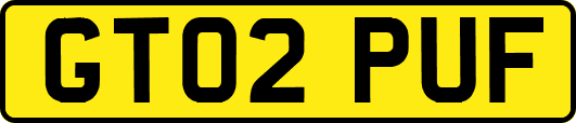 GT02PUF