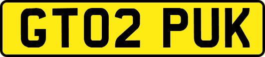 GT02PUK