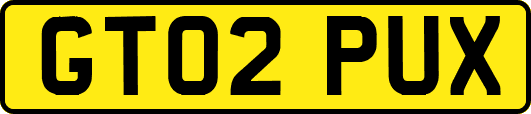 GT02PUX