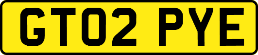 GT02PYE