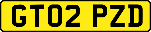 GT02PZD