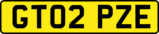 GT02PZE