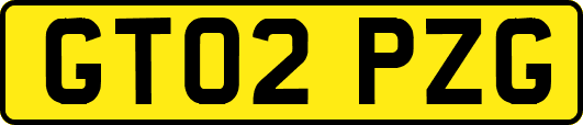 GT02PZG