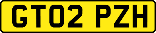 GT02PZH