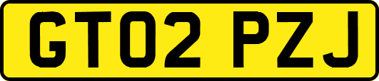 GT02PZJ
