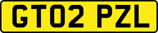 GT02PZL