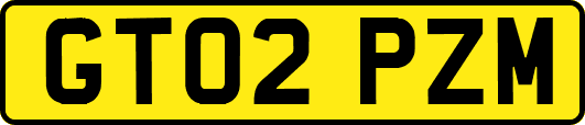 GT02PZM