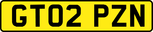 GT02PZN