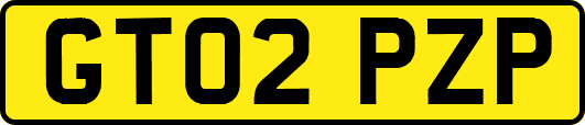 GT02PZP