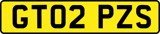 GT02PZS