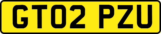 GT02PZU