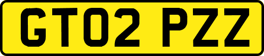 GT02PZZ