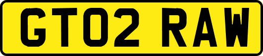 GT02RAW