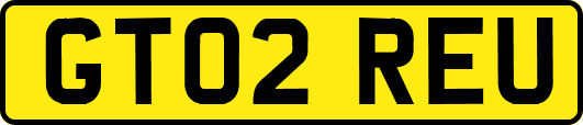 GT02REU