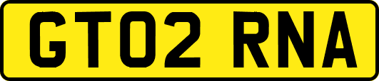 GT02RNA