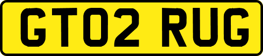 GT02RUG