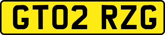 GT02RZG
