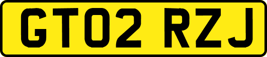 GT02RZJ