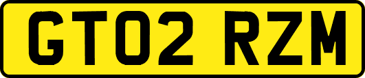 GT02RZM