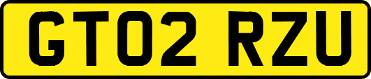 GT02RZU