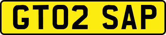 GT02SAP