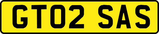 GT02SAS