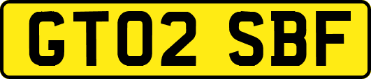 GT02SBF
